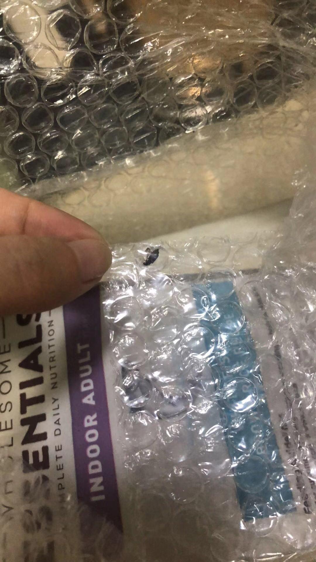 粉丝曝光丨美士猫粮外包装疑似有活虫，然后售后还这么差