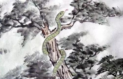 蛇朋友：这两大”靠山“已到你身边，请好好珍惜！