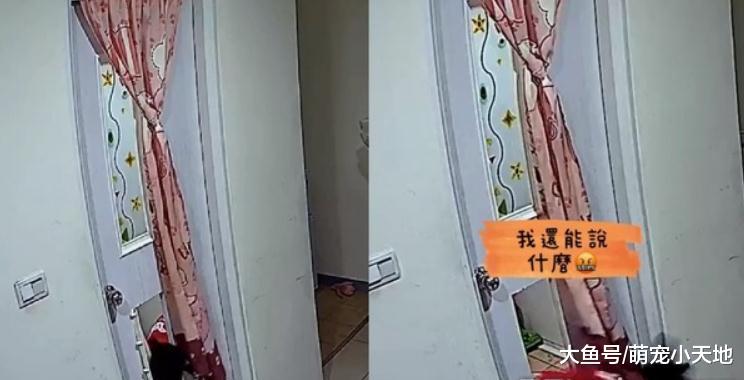 專業拆門工的屁汪把自己關浴室，用嘴扯爆通風口逃出：好累