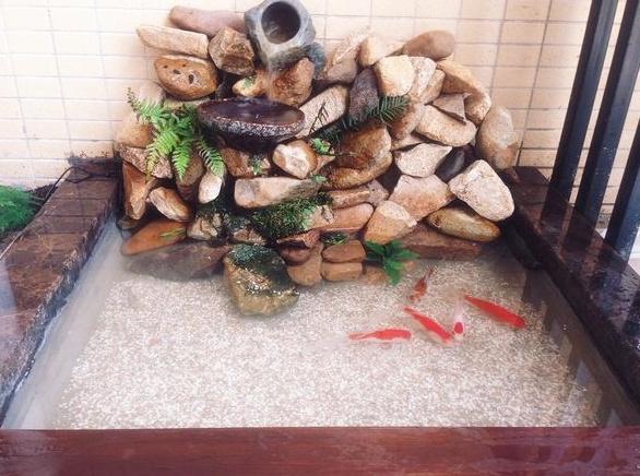 在阳台上砌个鱼池，成本只花200元，亲戚朋友们都眼红了