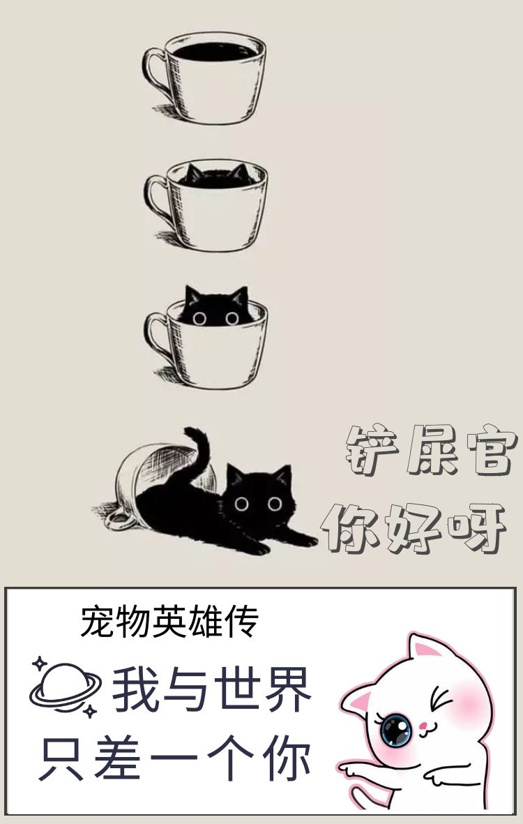 小猫因长相被丢弃野外，狗狗出现拯救了它，给它一个温暖的家