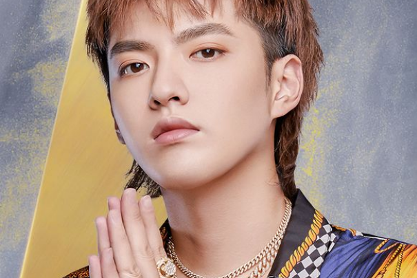 韩国人眼中公认的中国5位帅哥，鹿晗漫撕脸，图4没想到是他