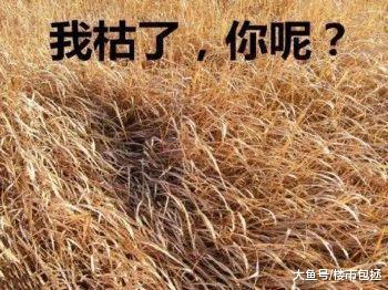 广州：对不起，我们留不住刚需！