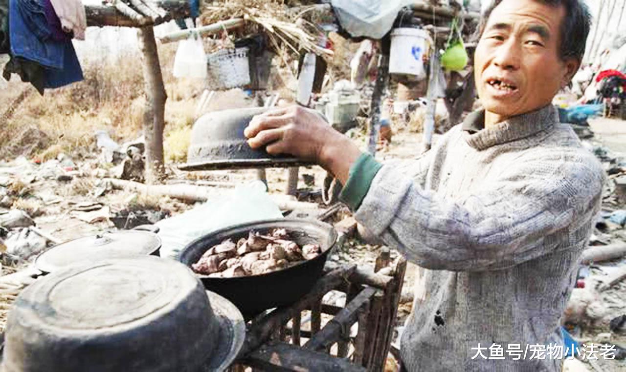 70歲老人靠撿垃圾，收養了50條流浪狗，跟狗狗同吃同住，不離不棄