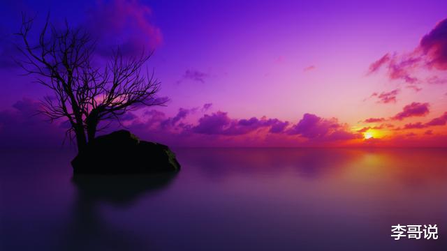 2019，年末大总结！