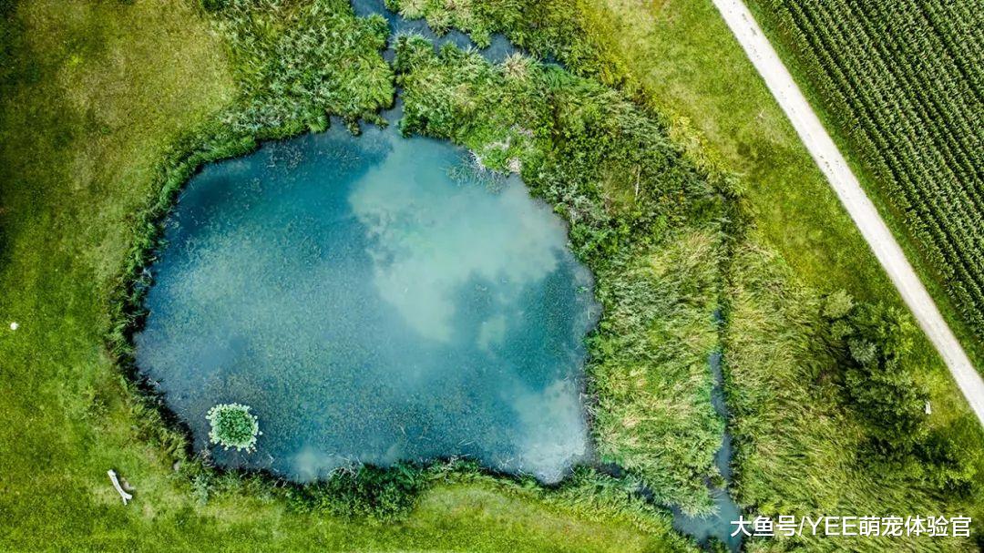 沼泽过滤的另类应用，可以用来赚钱