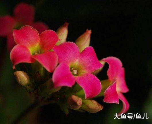 下周开始鸿运当头，买彩票中头奖的生肖，五福临门，越过越富有