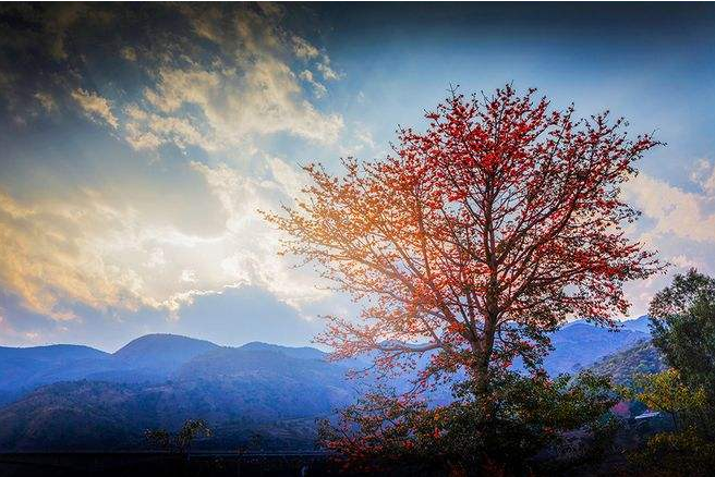 攀枝花是四川省年平均气温总热量最高的地区，房价是多少？