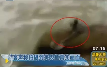 【揭秘】世界上有美人鱼吗？美人鱼真的存在吗