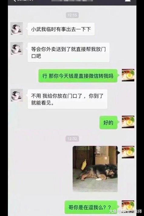 网友把钱放在了狗狗的身边，外卖员却不敢过去取，狗：快来拿呀！
