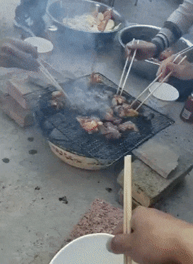 主人吃燒烤，田園犬在一旁無動于衷，狗：做一只有修養的狗……
