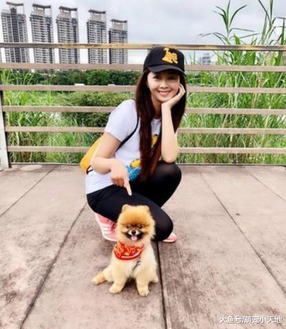 給博美狗梳毛時熊耳朵一開一合變海豹，收養2年后脫胎換骨