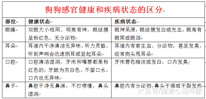 辟謠！狗狗眼睛變藍是白內障嗎？可能和肝炎有關