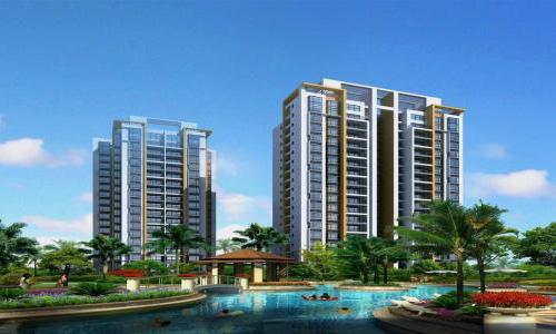 过来人的“血泪史”:能买“楼梯房”,就不买高层“电梯房”