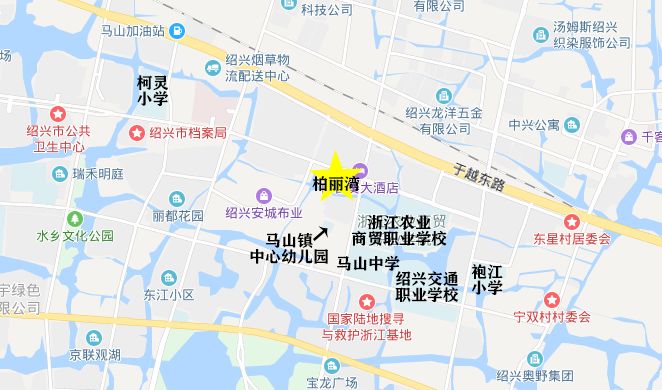 袍江又有大事发生？为何这里，大晚上还人山人海？