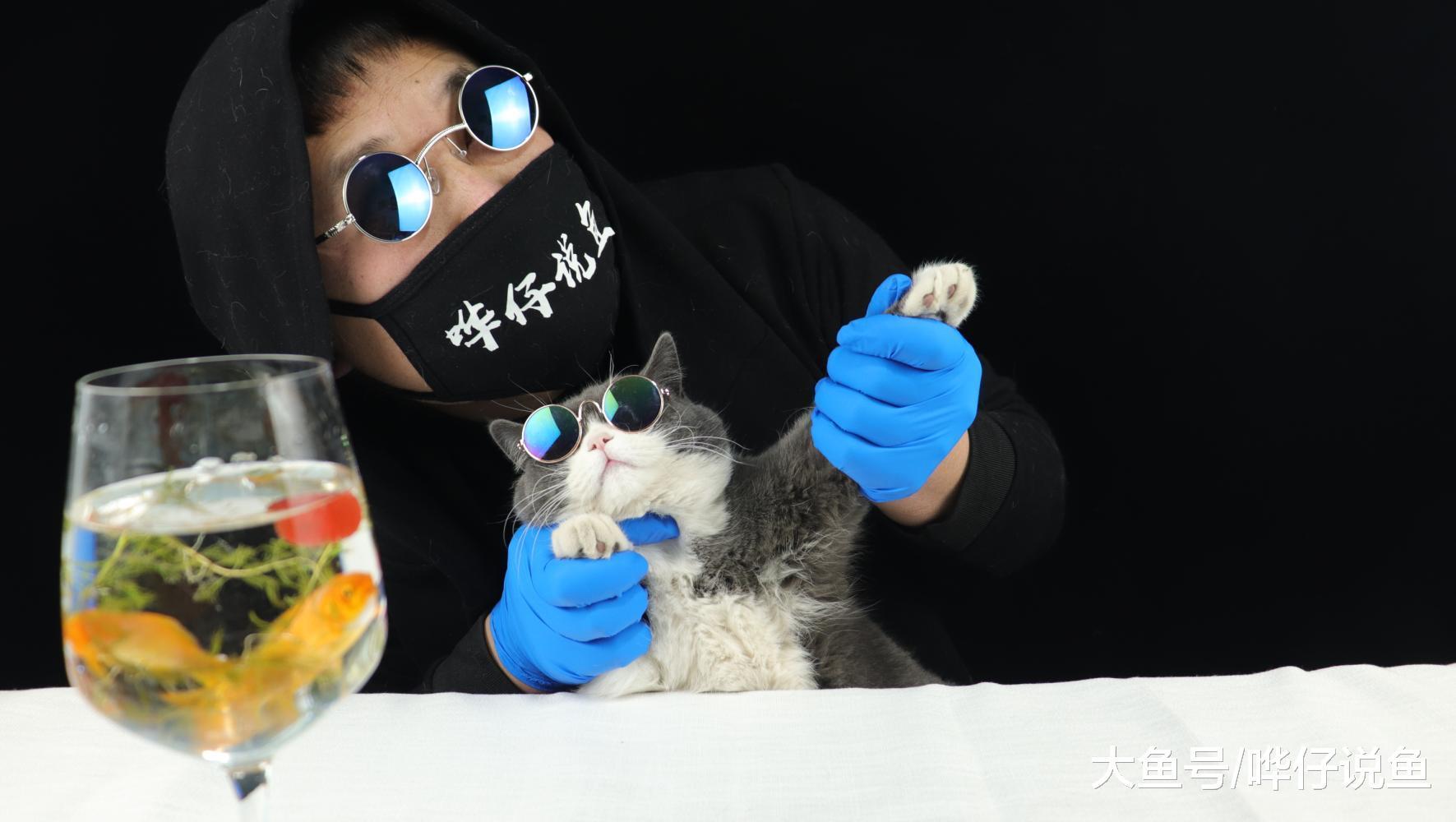谁说养鱼是老年人的爱好？喜欢宠物鱼的年轻人表示不服