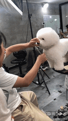 有女儿的人家一定要养一只大狗