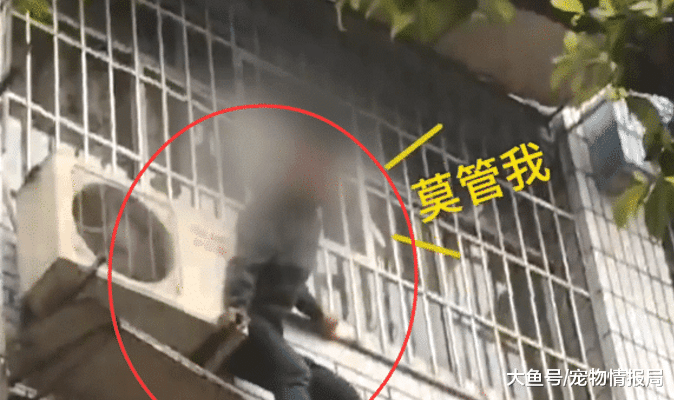 一名男子搞大好友女朋友的肚子，竟直接爬上二楼，喊话：你不用管我!