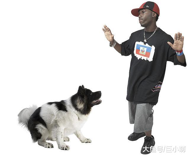 狗狗不是通过气味和声音认人吗，为什么主人戴上帽子就不认识了？