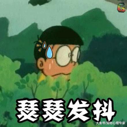 男子在河边等了1小时，终于有条大鱼上钩，拎上来后却不敢下口