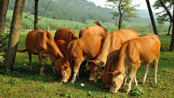 最美的不是下雨天，是和你一起吃过的潮牛匠潮汕火锅