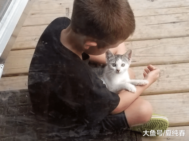 饥饿小花猫趴在门前向人求助，喂了之后，带着它的姐妹又来了