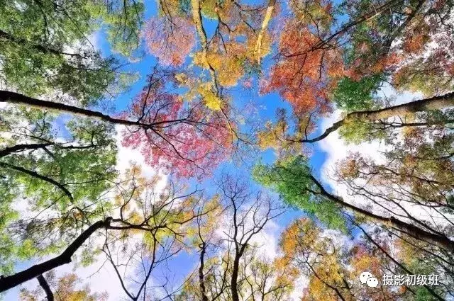 10个改善构图的简单技巧, 快速提升照片的美感