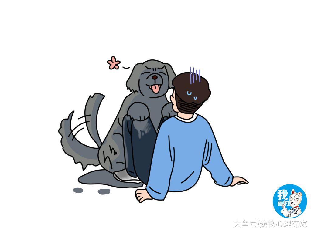 男子只顾着玩手机，10分钟后发现狗没了，闻声赶去一瞧脸都灰了