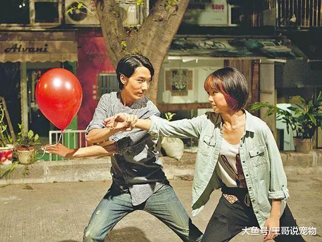 产量超过古天乐，被周润发评为周星驰接班人，他还需要拍TVB剧？