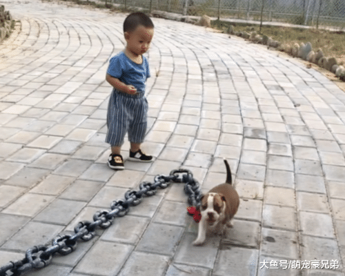 去朋友家看到门口一幕，心生畏惧，谁知进门一看，直接笑喷