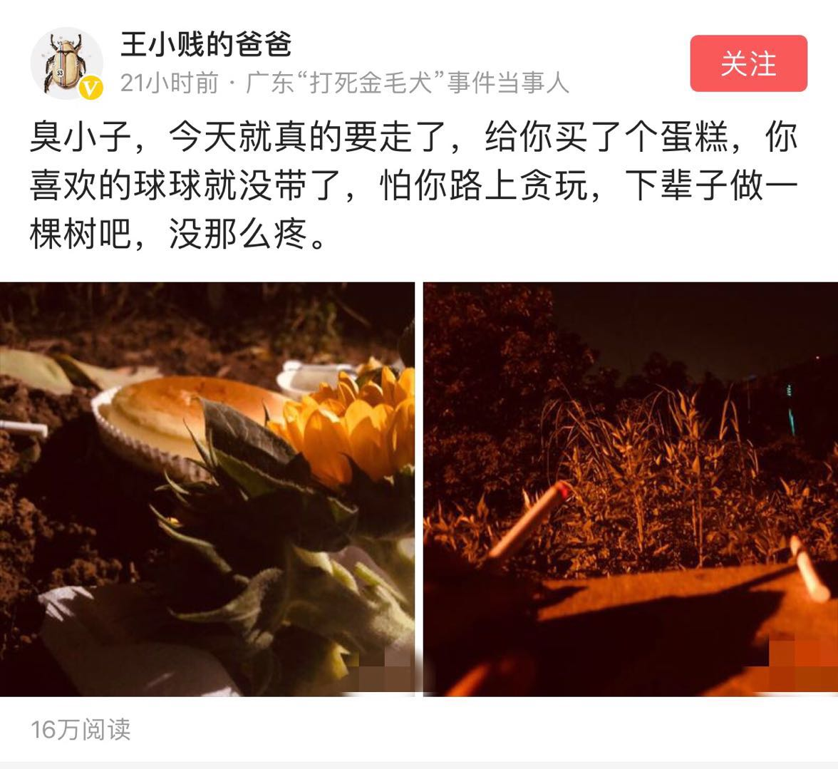 每一条不栓绳的狗后面都可能藏着一个无视社会规则的野蛮人