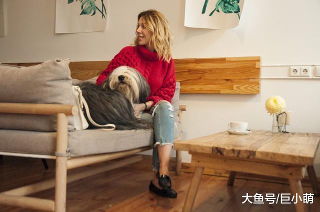 为什么狗狗喜欢靠着主人身上？这不仅是依赖主人，也有可能是挑战