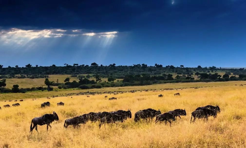 阿斯旺▲地球上一个失败的大型工程…