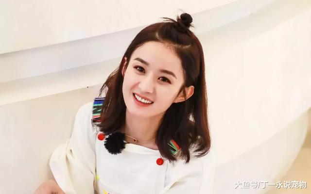 王宝强不是唯一的低学历明星，没想到陈伟霆的学历真让人尴尬