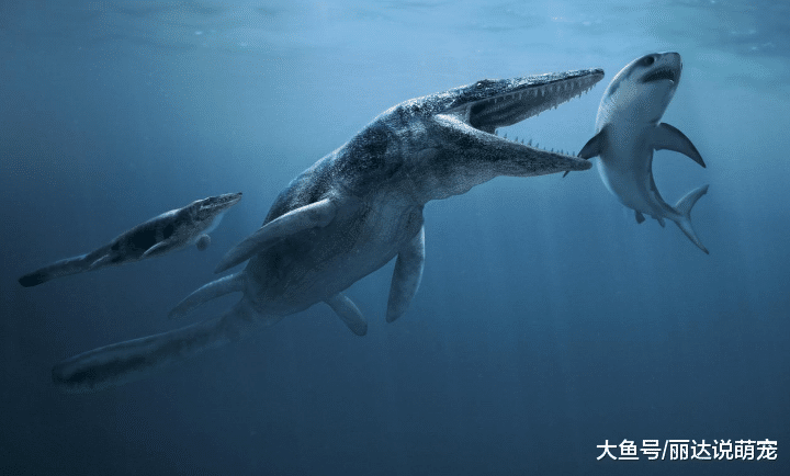 当地球的氧气增加100%后，会有什么变化？科学家：骑着蜜蜂满天飞