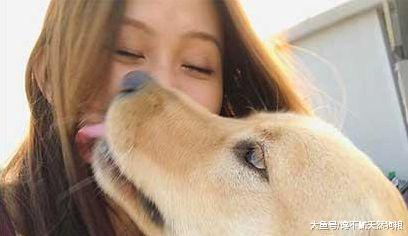 狗狗看到宠主回家，会格外的热情，除了是因为爱还有什么呢？