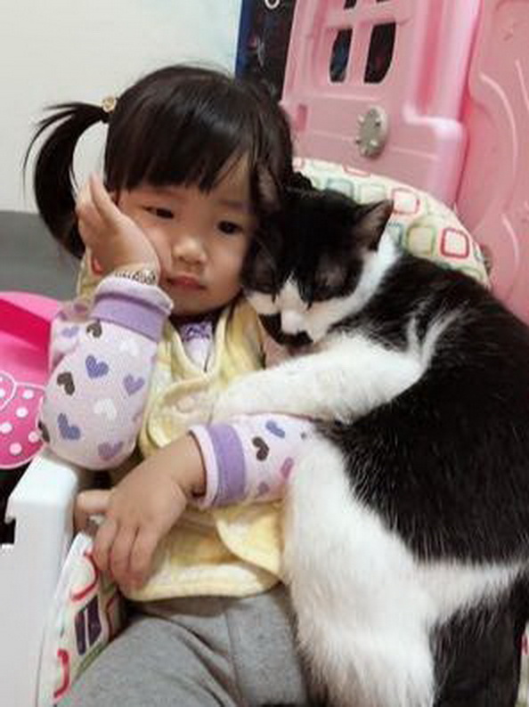 小主人在看动画片，猫咪爬到她身上撒娇，像极了你抱着女友的样子