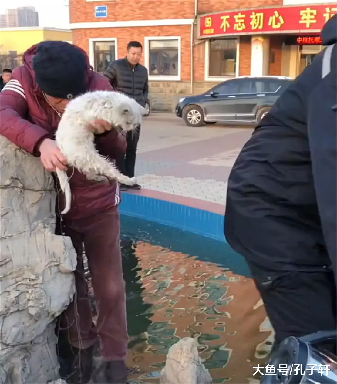 流浪猫尾巴被冻在假山上，急得喵喵叫，好心人的举动暖心了……