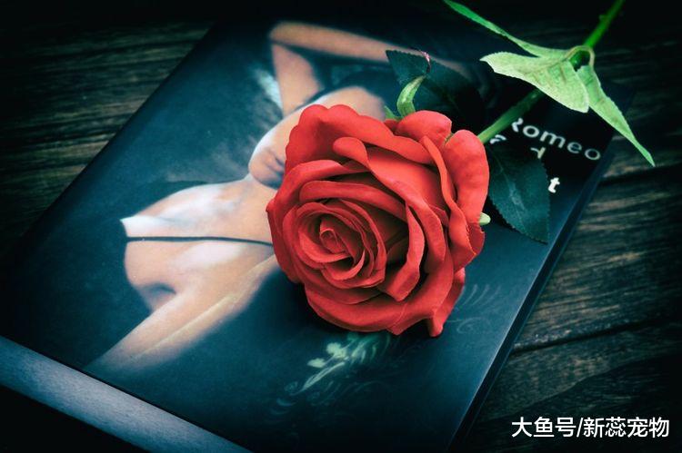 未来十天，3个生肖财路宽，事业高升赚大钱，羡煞旁人