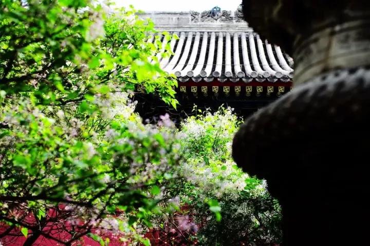 老北京记忆：广安门，老北京口中的彰仪门！
