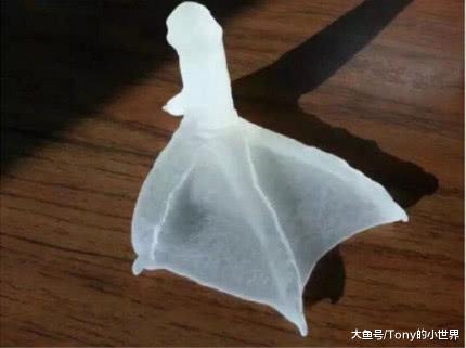 鸭子断了一只鸭掌，用3D打印接上假肢，绞尽脑汁猜不着主人初衷