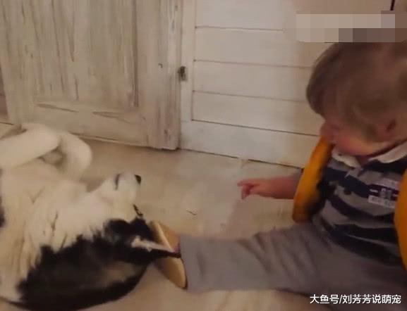 小宝宝摸了一下哈士奇，它反手就是一巴掌，二哈：别打扰我睡觉！