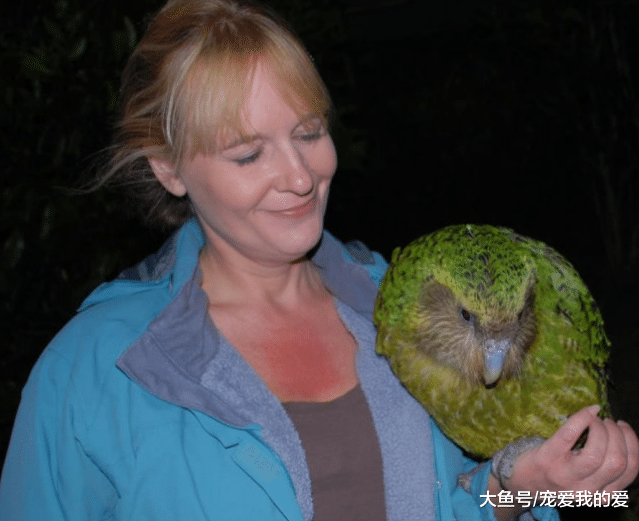 几种动物萌态可掬却快要走向灭绝，上帝：你的智商税交了吗？