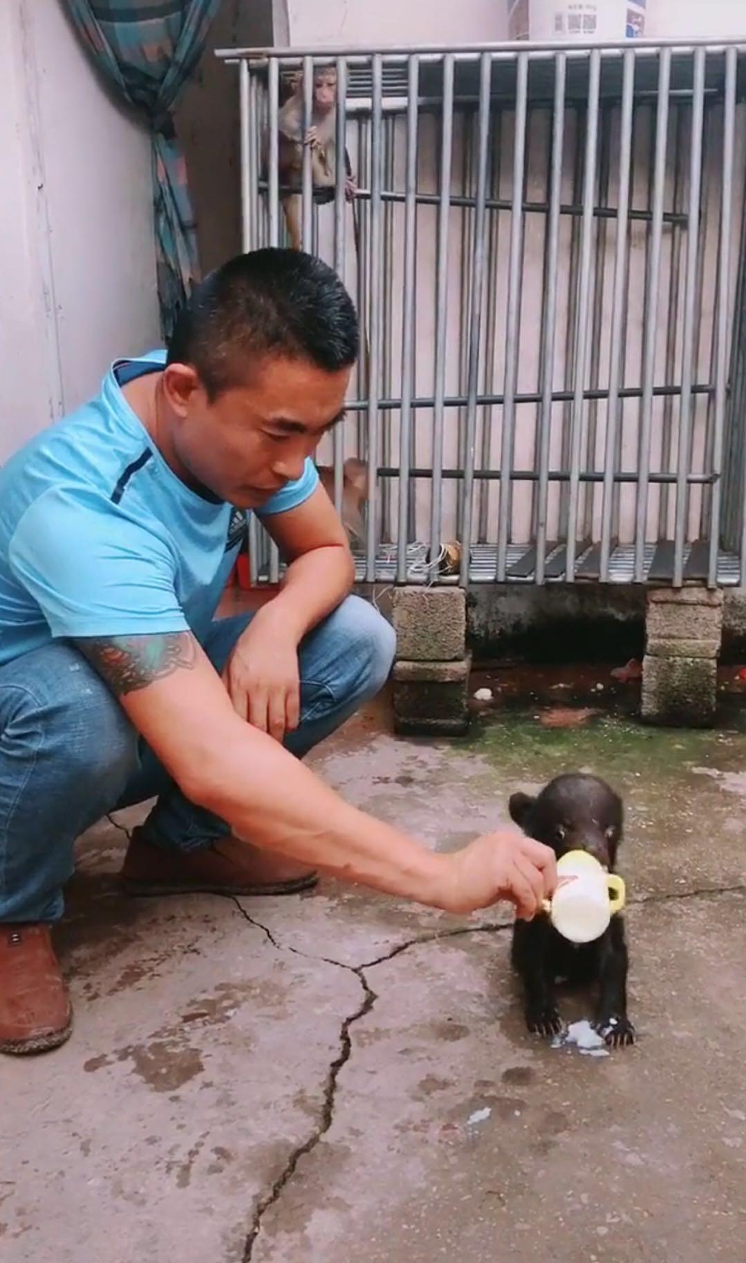 一男子把黑熊当宠物？