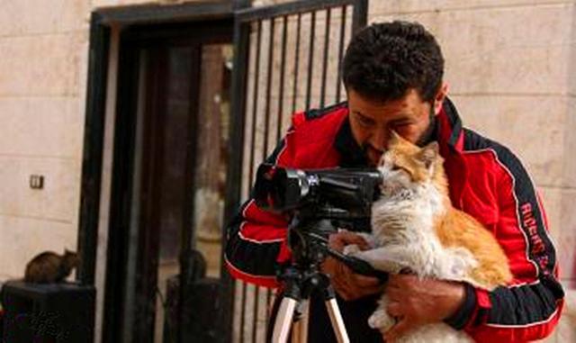 流浪猫被猫男大叔救助，战乱中不离不弃跟随，并助他开解受伤居民