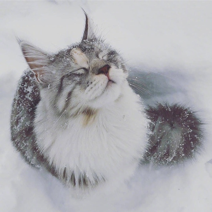 吃东西不要bia唧嘴