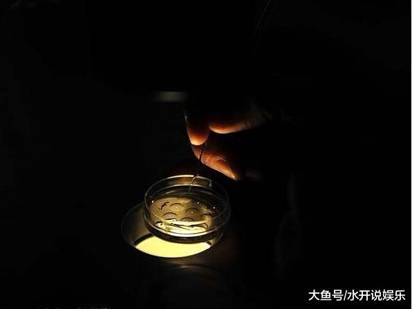揭秘试管婴儿全过程（附图），看完后心疼女性一万遍