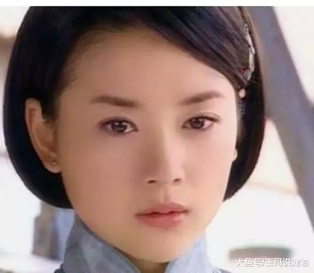 盘点女明星婴儿肥时期, 被林心如美到了, 张柏芝诠释了什么叫清纯