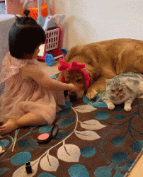 一天二十四小时都在为家人操心，其实每条狗狗都想拥有这样幸福的忙碌！