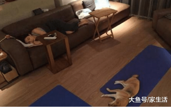 晒晒陈嘉桦现实中的家，家里家具也太可爱了，连餐桌都是迷你版